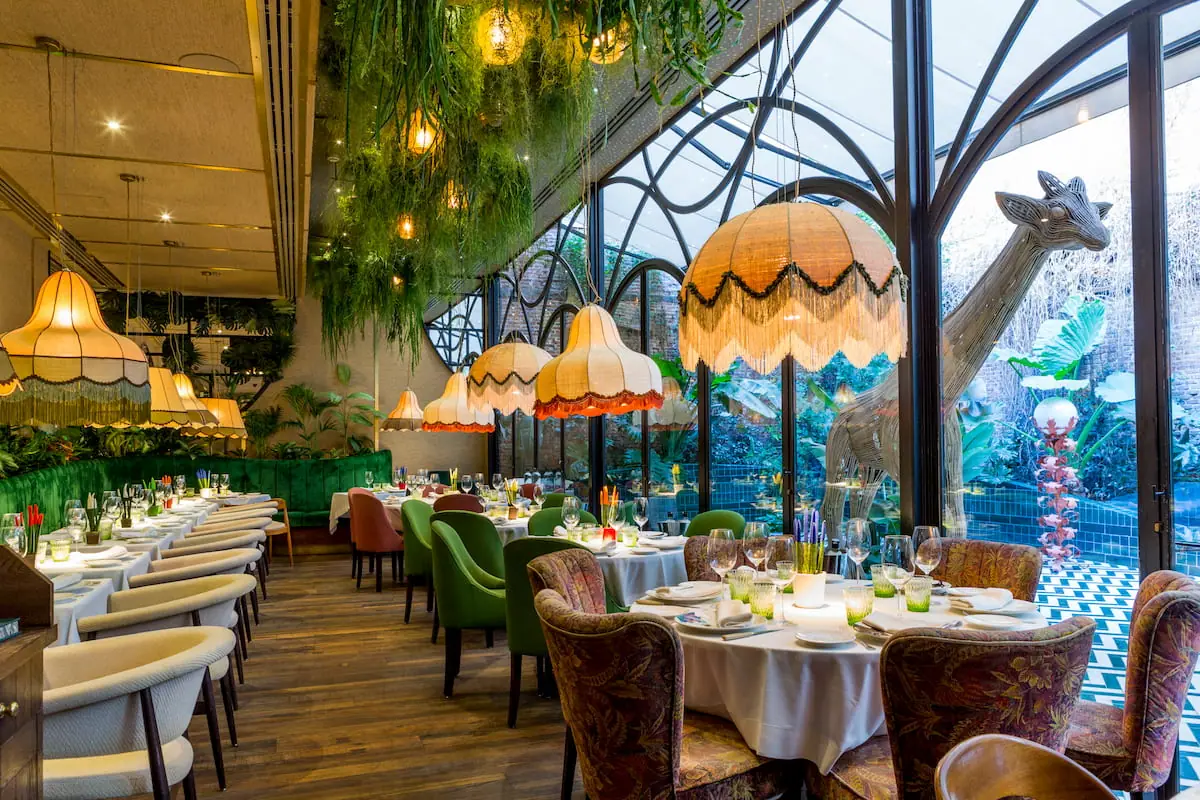 Amazónico, Madrid — the veranda under the jungle and its lamps