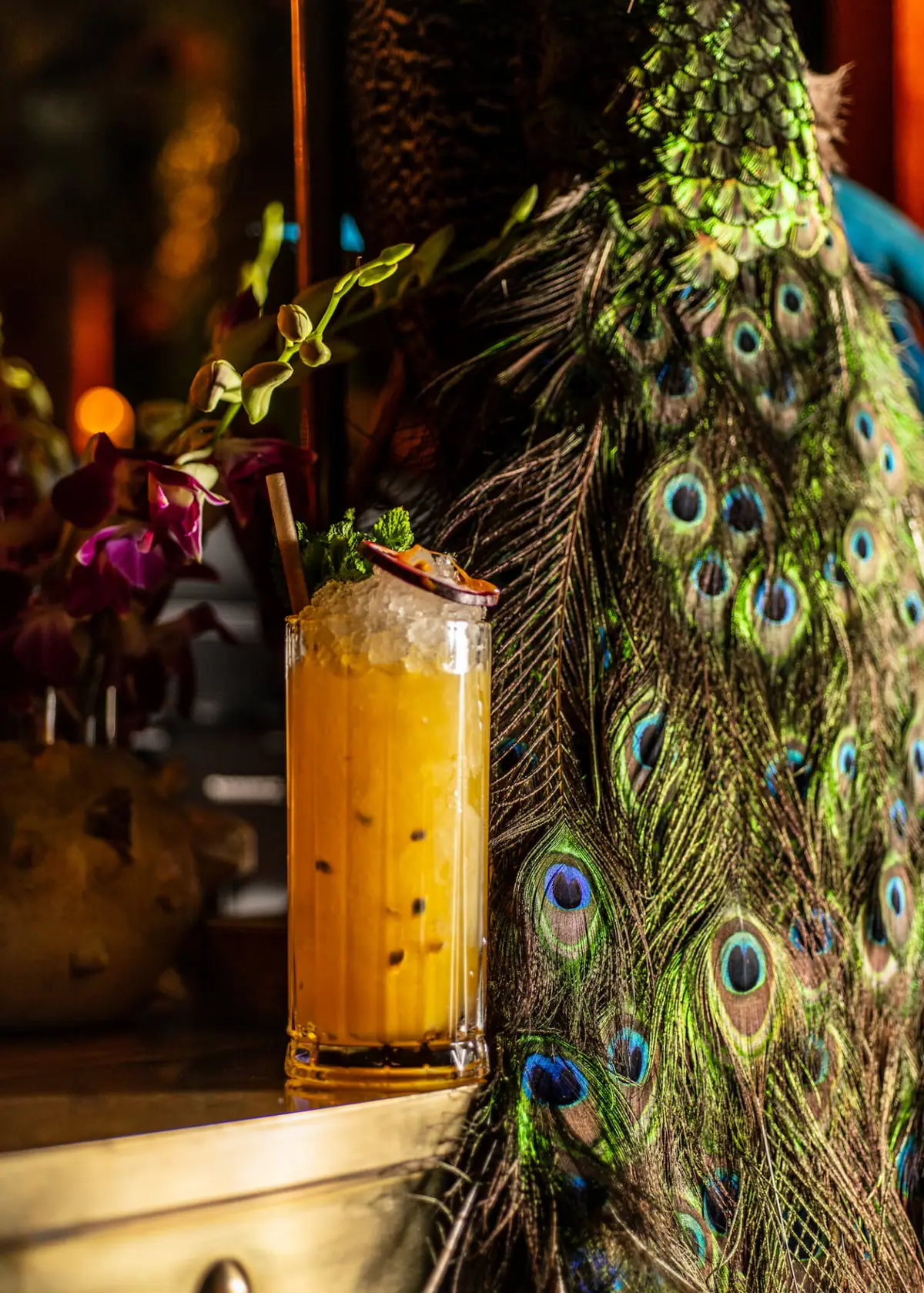 A cocktail at the bar
